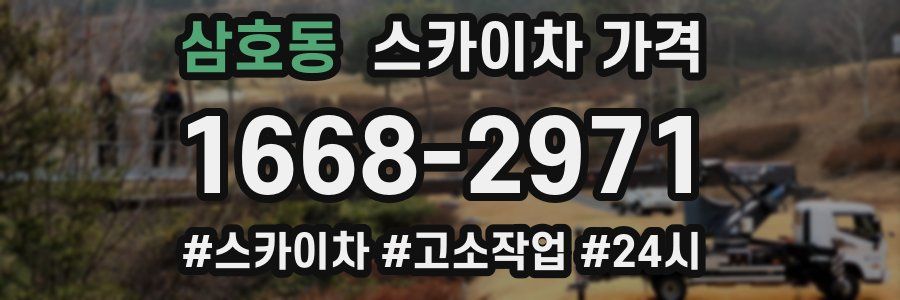 삼호동 스카이차 가격