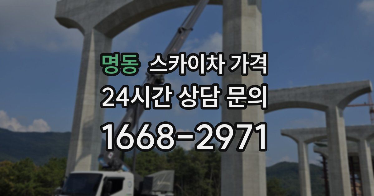 명동 스카이차 가격