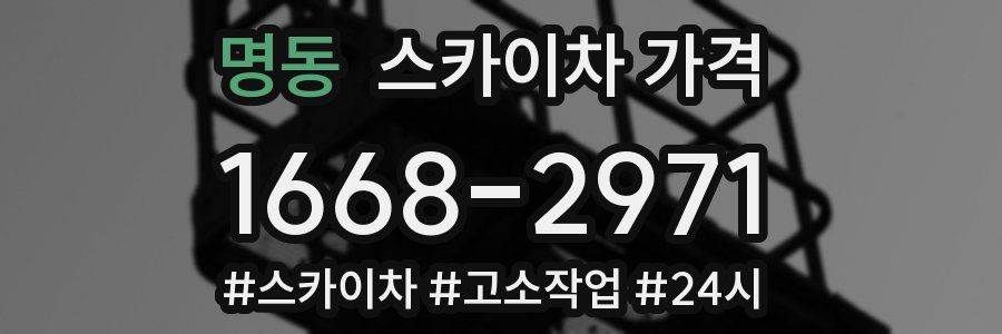 명동 스카이차 가격