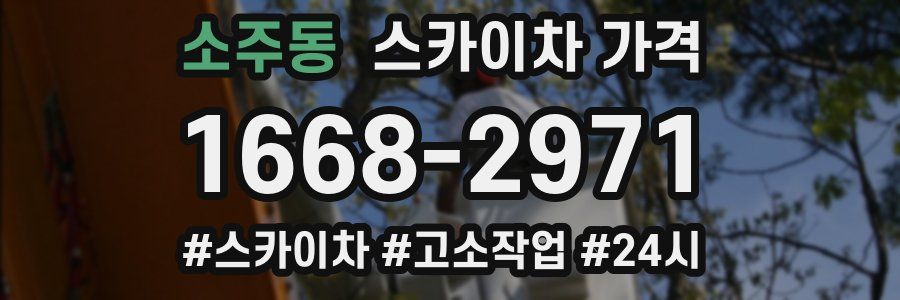 소주동 스카이차 가격