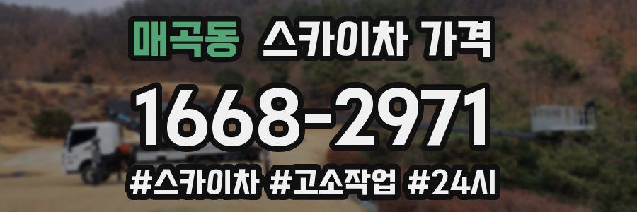 매곡동 스카이차 가격