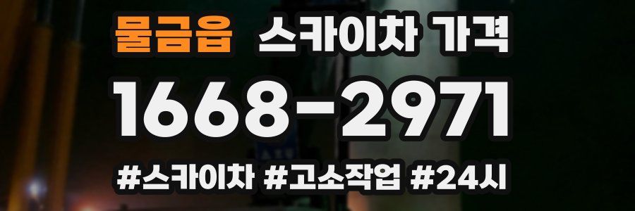 물금읍 스카이차 가격