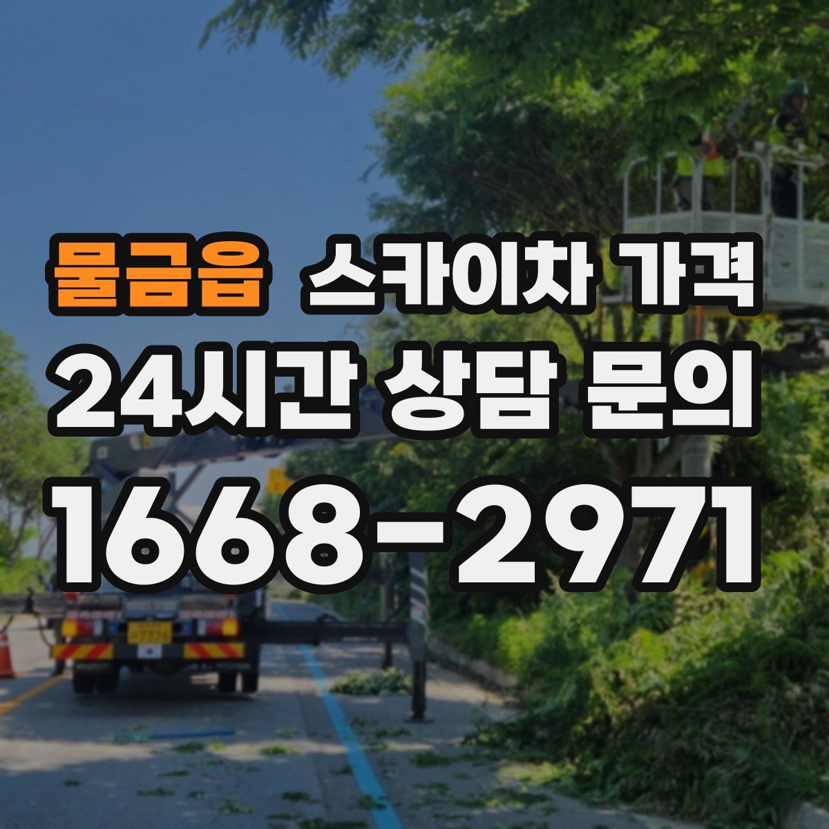 물금읍 스카이차 가격