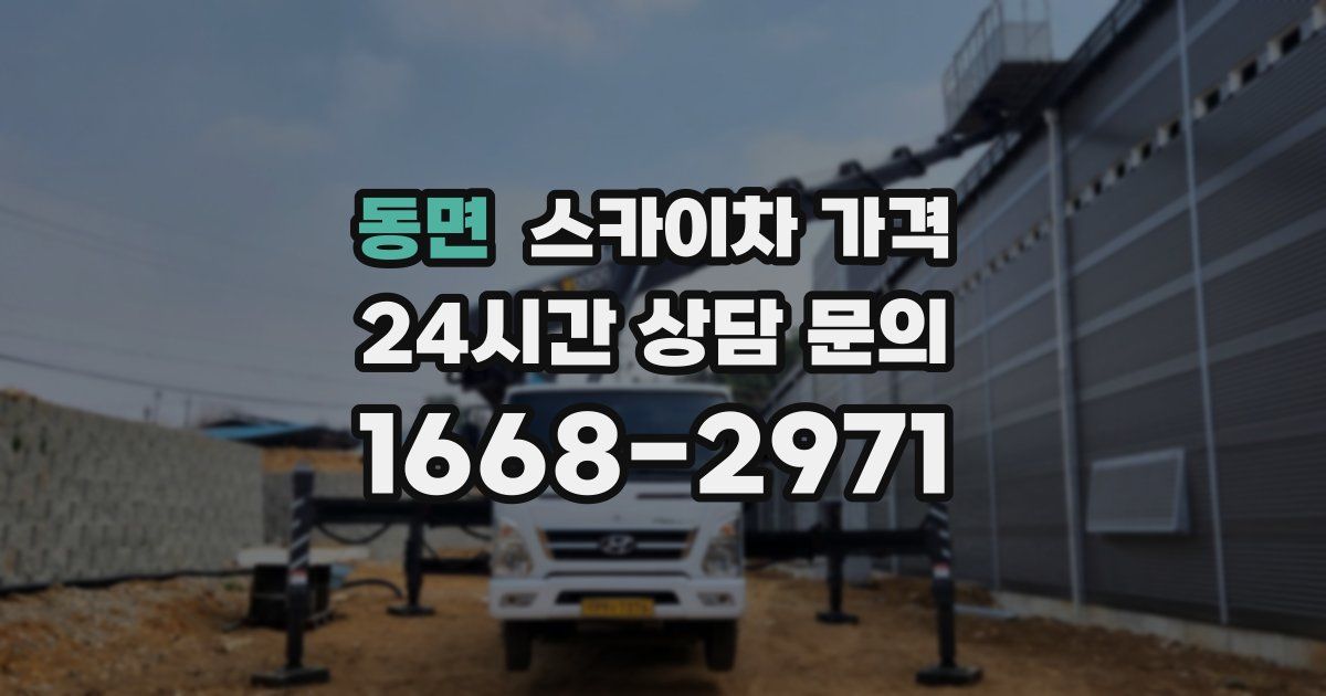 동면 스카이차 가격