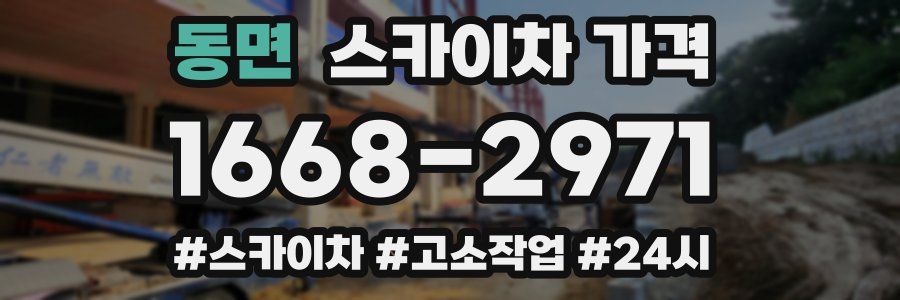 동면 스카이차 가격