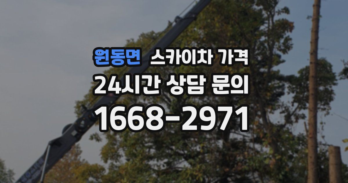 원동면 스카이차 가격