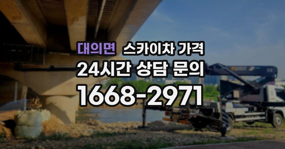 대의면 스카이차 가격