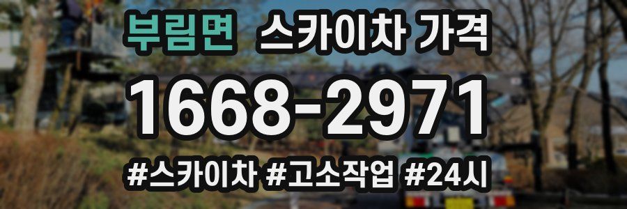 부림면 스카이차 가격