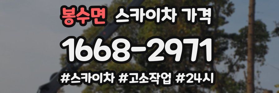 봉수면 스카이차 가격