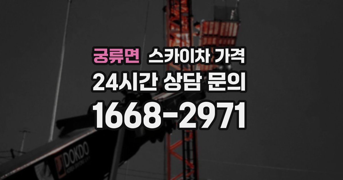 궁류면 스카이차 가격