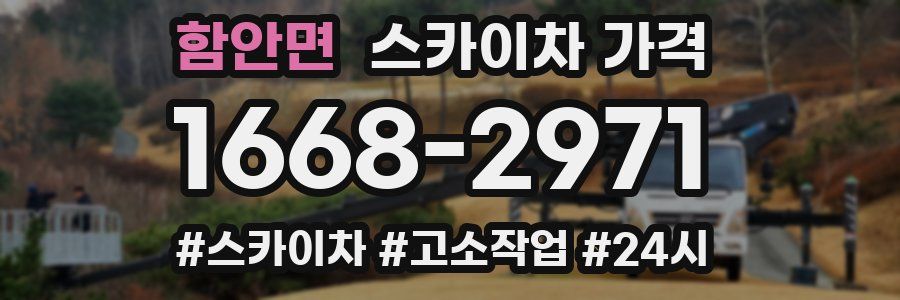 함안면 스카이차 가격