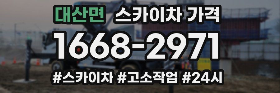 대산면 스카이차 가격