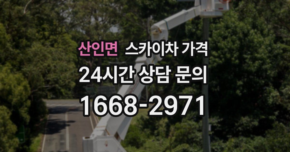 산인면 스카이차 가격