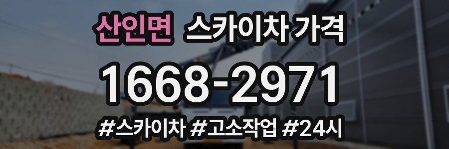 산인면 스카이차 가격