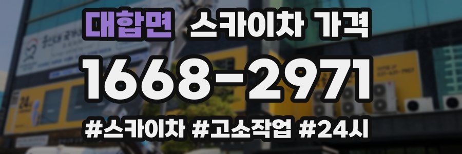 대합면 스카이차 가격