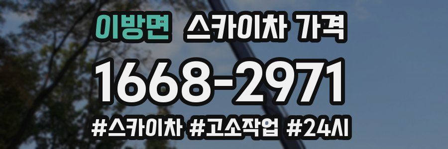 이방면 스카이차 가격