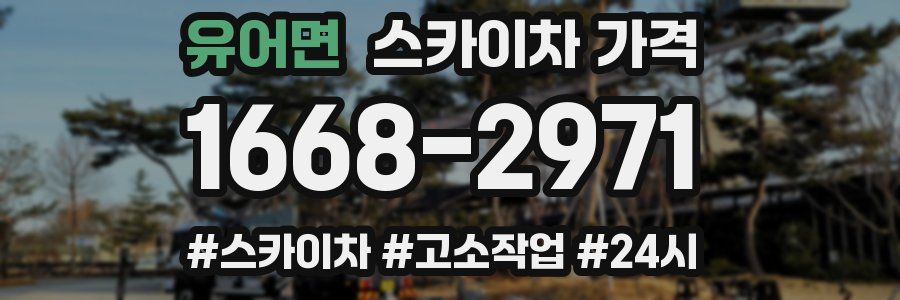 유어면 스카이차 가격