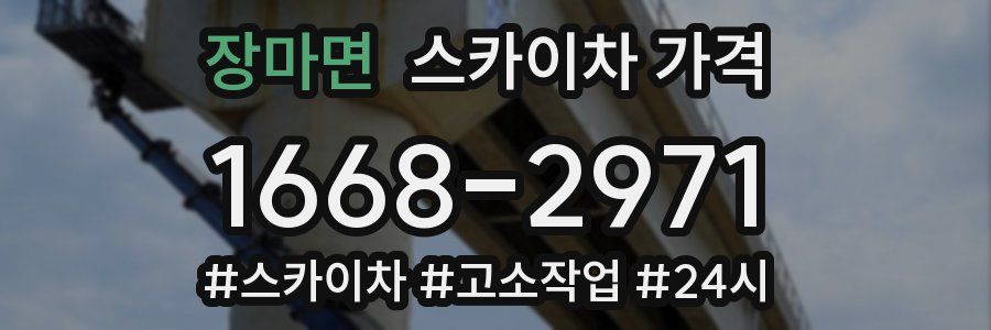 장마면 스카이차 가격