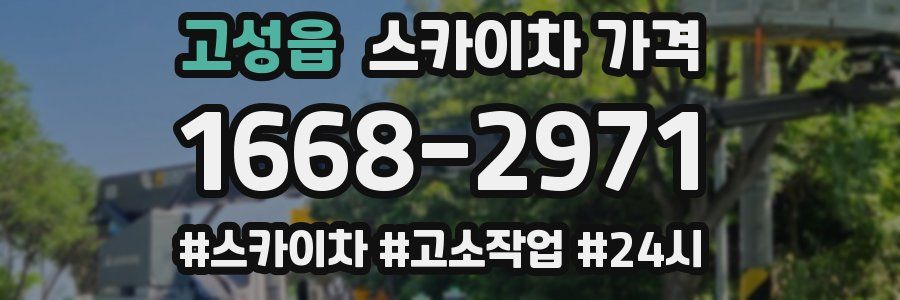 고성읍 스카이차 가격