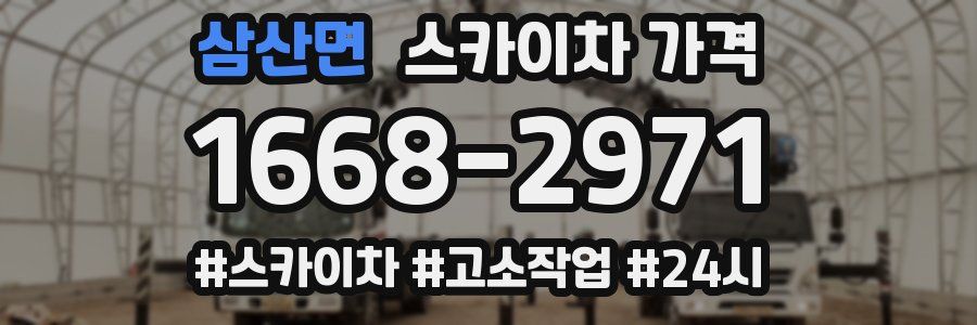 삼산면 스카이차 가격