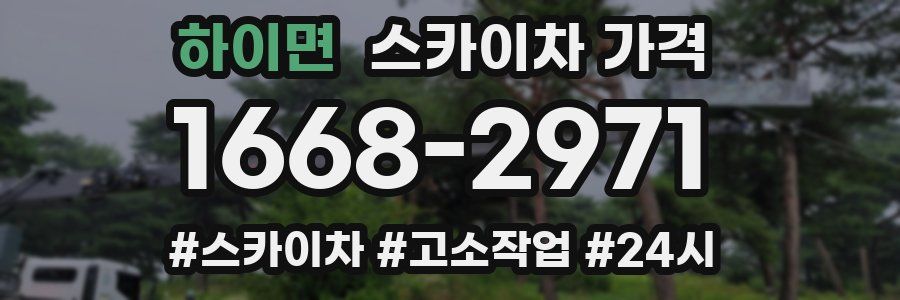 하이면 스카이차 가격