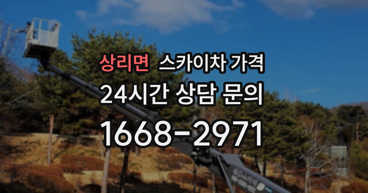 상리면 스카이차 가격