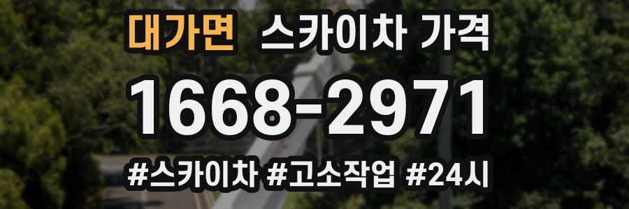 대가면 스카이차 가격