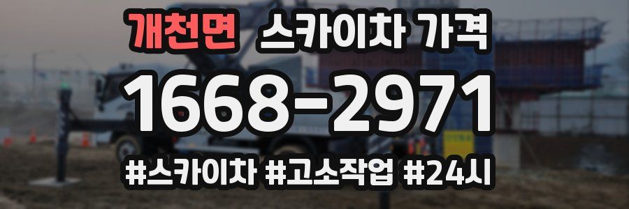 개천면 스카이차 가격