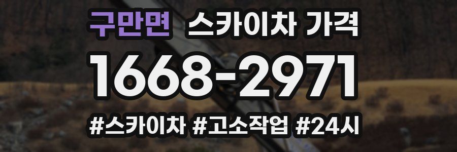 구만면 스카이차 가격