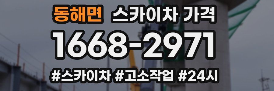 동해면 스카이차 가격