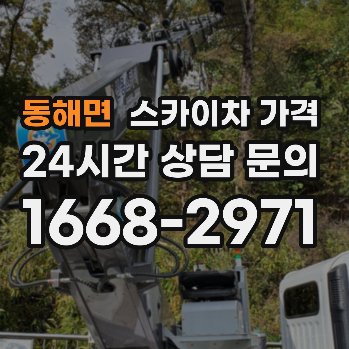 동해면 스카이차 가격