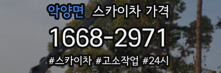 악양면 스카이차 가격