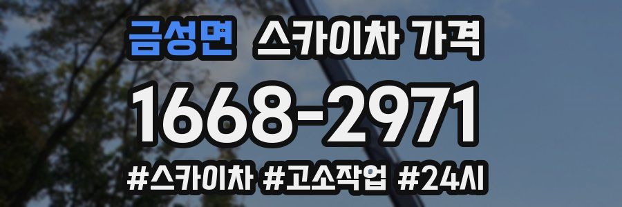 금성면 스카이차 가격
