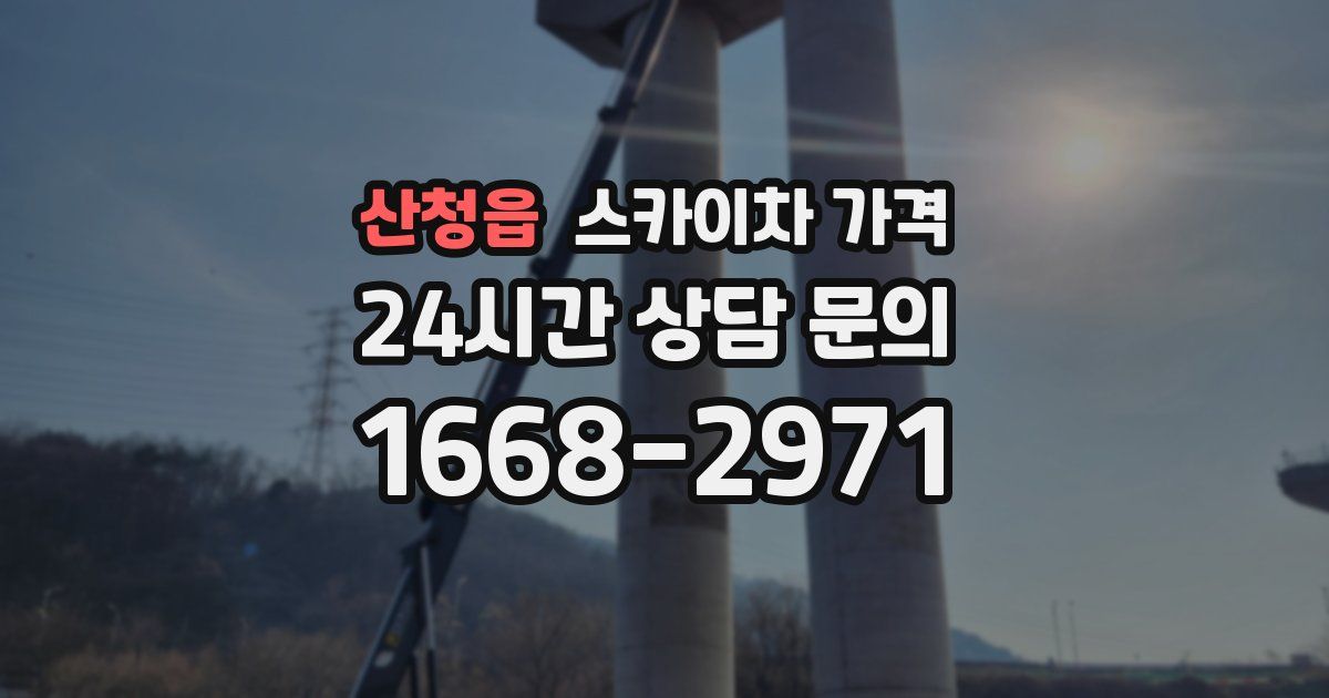 산청읍 스카이차 가격