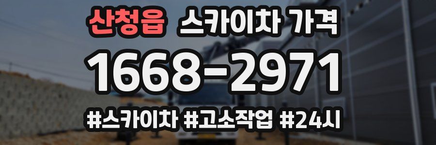 산청읍 스카이차 가격