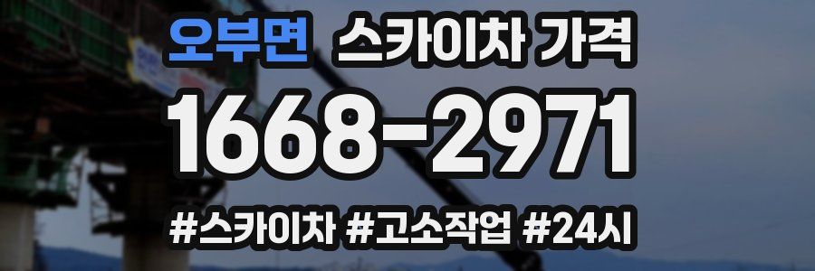 오부면 스카이차 가격