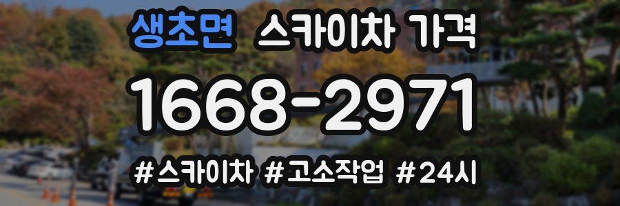 생초면 스카이차 가격