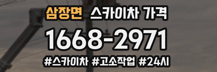 삼장면 스카이차 가격