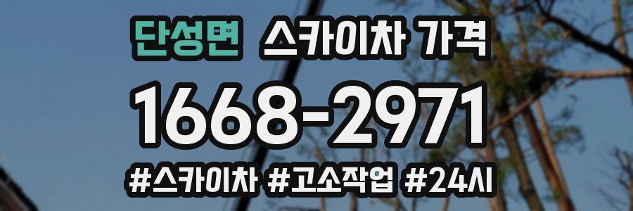 단성면 스카이차 가격