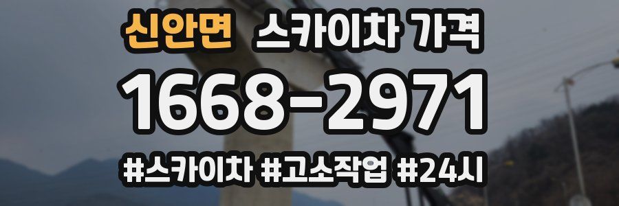 신안면 스카이차 가격