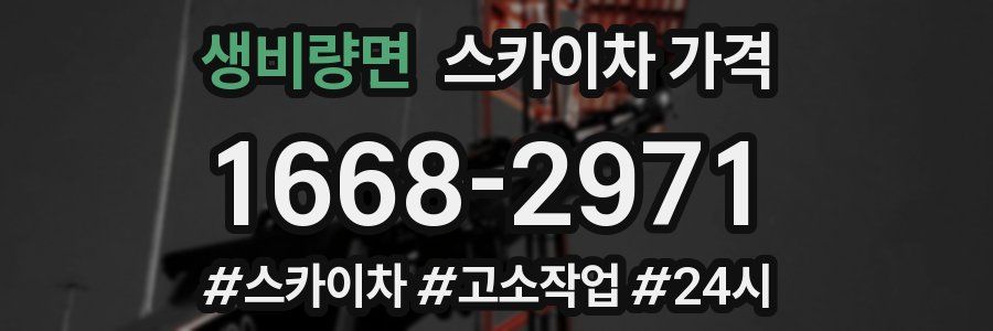 생비량면 스카이차 가격