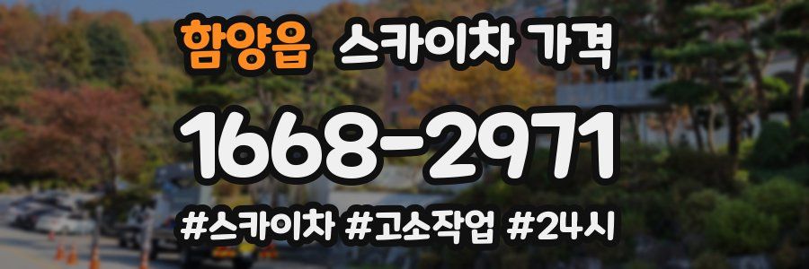 함양읍 스카이차 가격