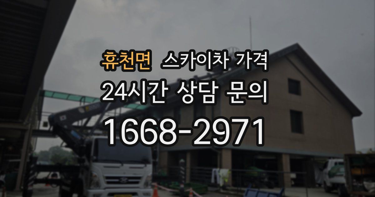 휴천면 스카이차 가격