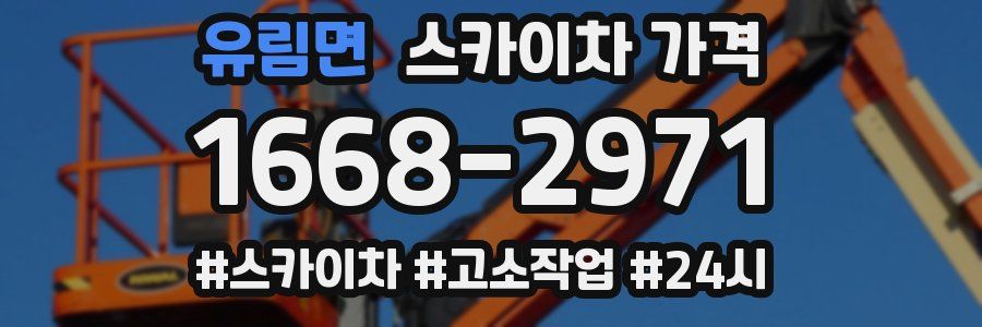 유림면 스카이차 가격