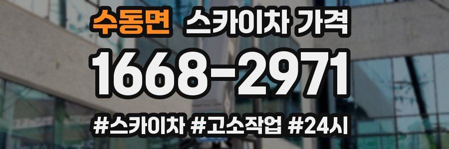 수동면 스카이차 가격