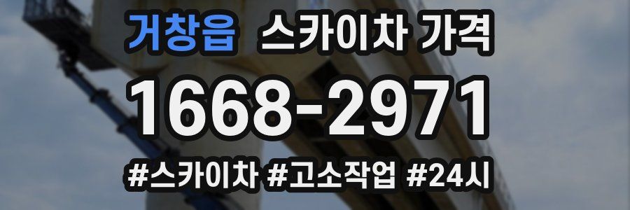 거창읍 스카이차 가격