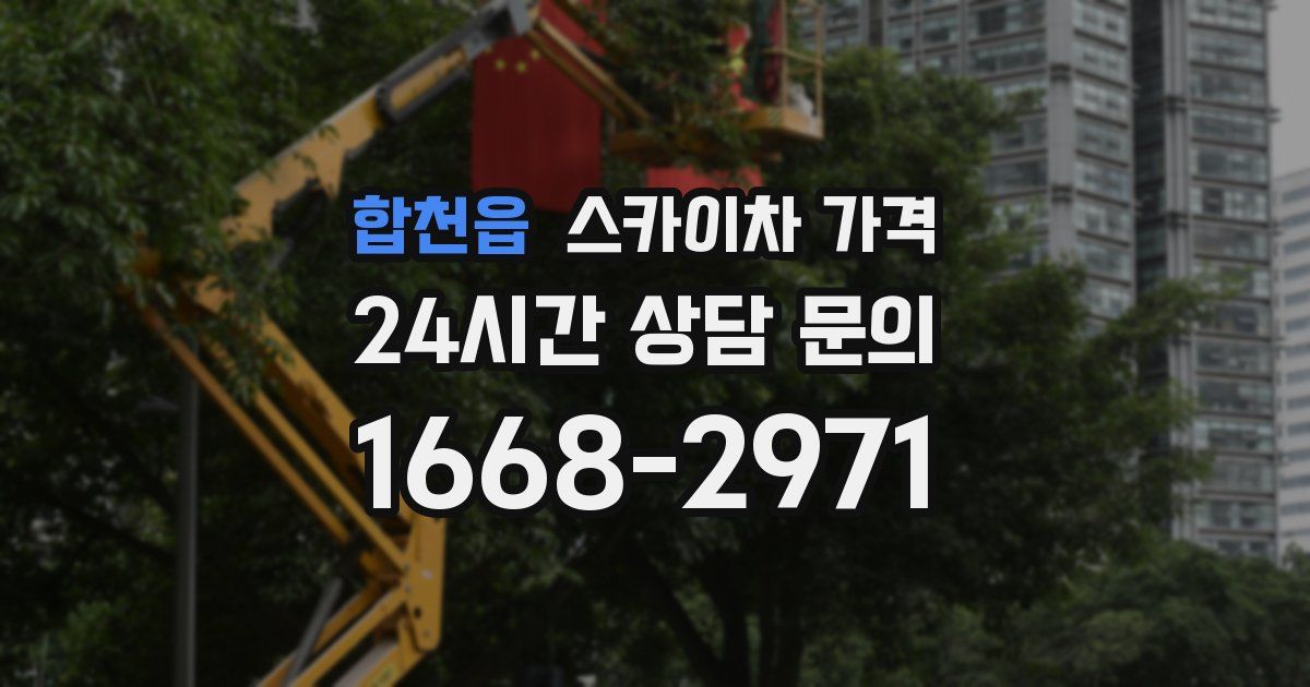 합천읍 스카이차 가격