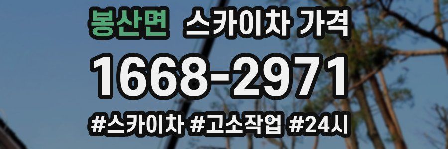 봉산면 스카이차 가격