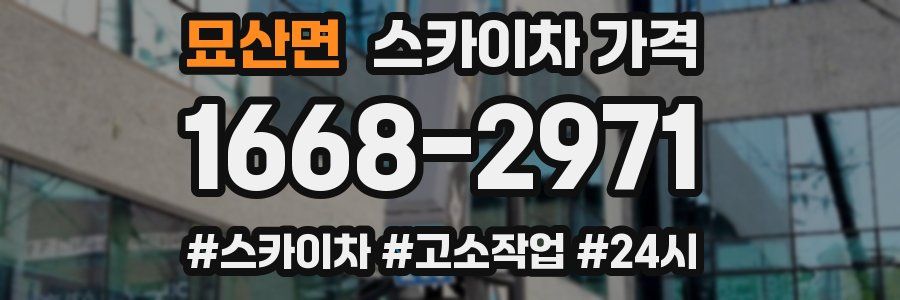 묘산면 스카이차 가격