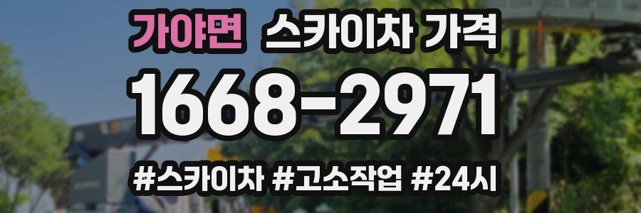 가야면 스카이차 가격